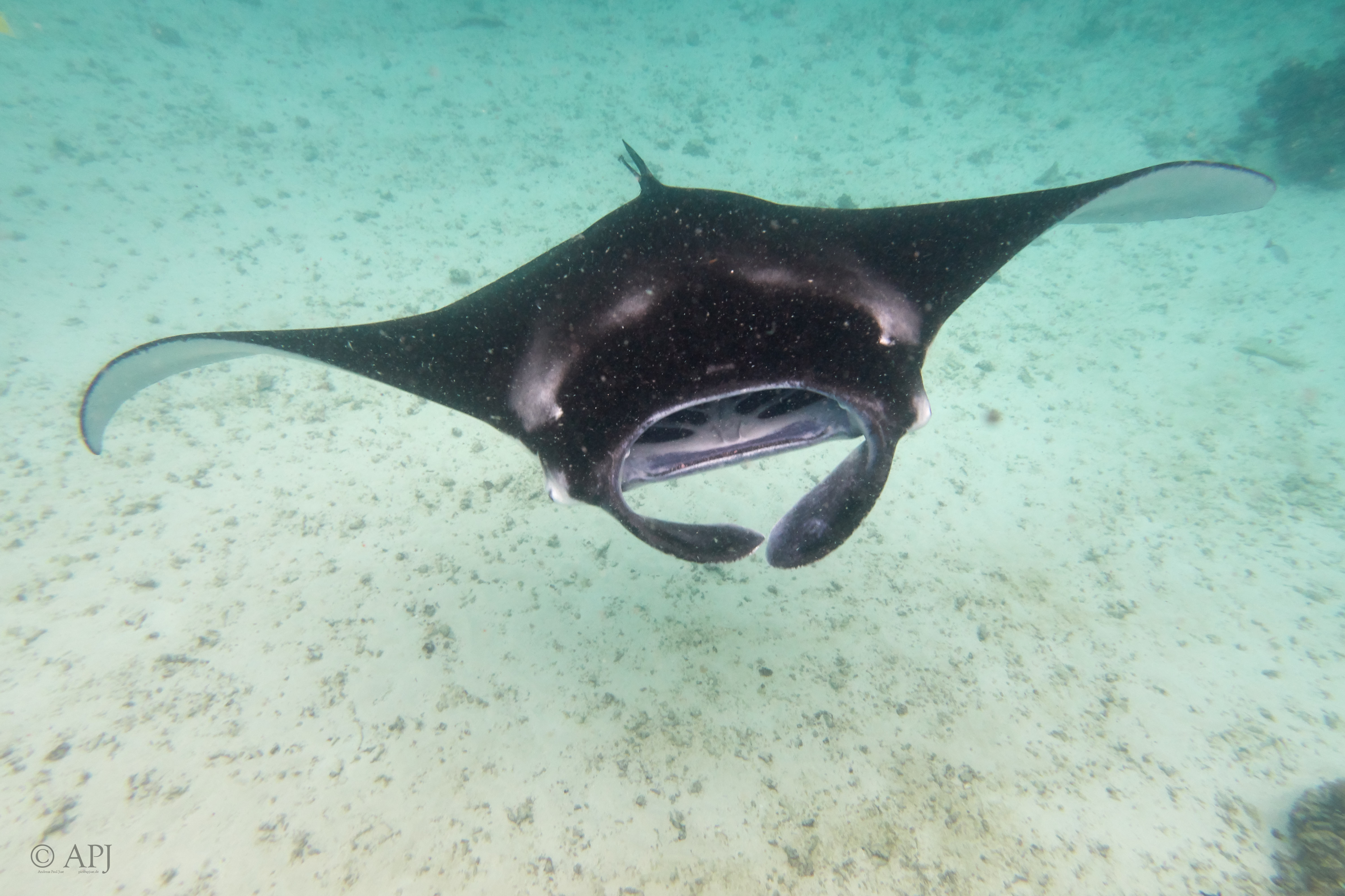 002642 17 08 17  Canon PowerShot G7 X Mark II   Malediven2017